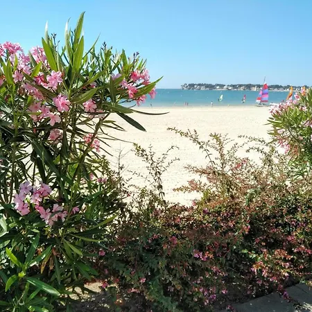 Le Capitole - Benoit Dans Résidence Face