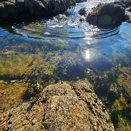 Le Capitole - Benoit Dans Résidence Face Appartement