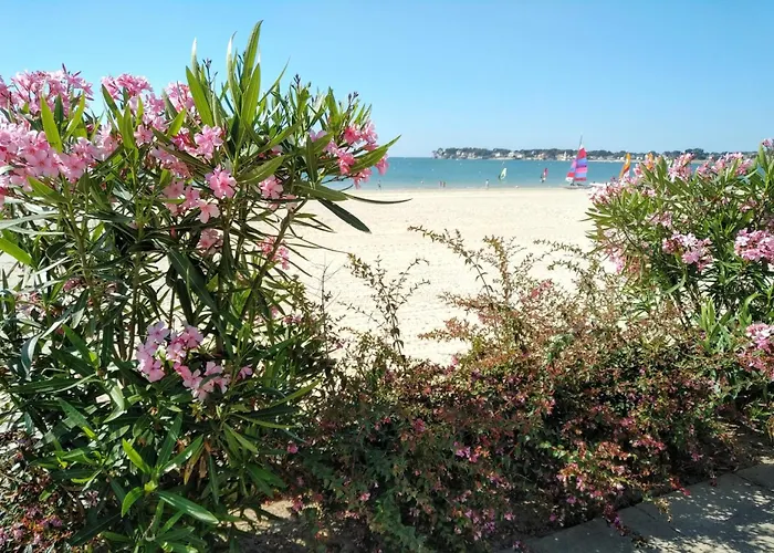 Le Capitole - Studio Front De Mer Plage Benoit Ideale Escapade Printaniere