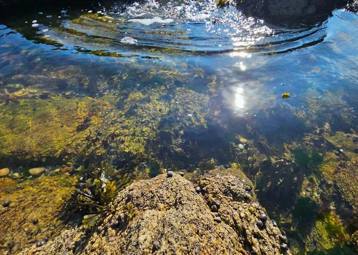 Le Capitole - Front De Benoit, Escapade A Deux Apartment